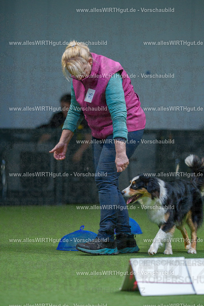 7R501064 | Professionelle Tierfotografie in Mönchengladbach von Daniel Wirth (allesWIRTHgut). Liebevolle & natürliche Bilder von Hunden & Katzen für unvergessliche Erinnerungen.