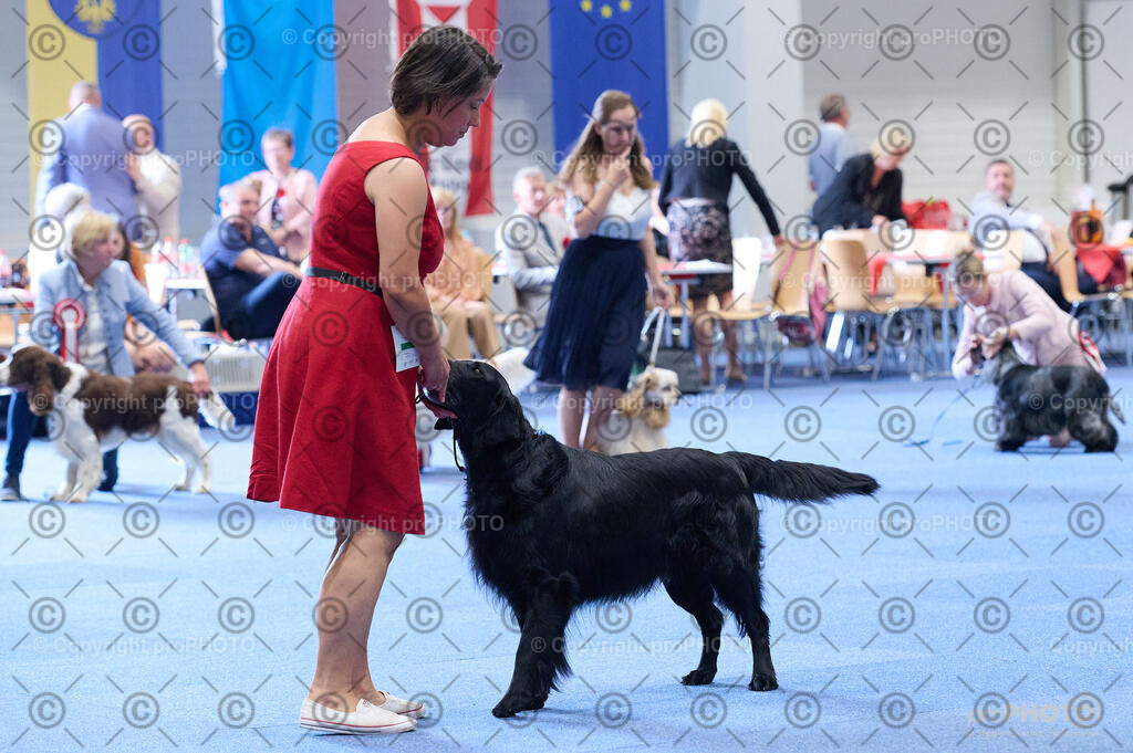 202406_ÖKV-IHA-Tulln24_DSC_5083 | proPHOTO - Realisiert mit Pictrs.com