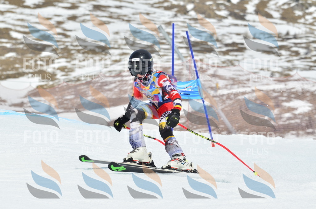 _ELE2849 | holidayphoto