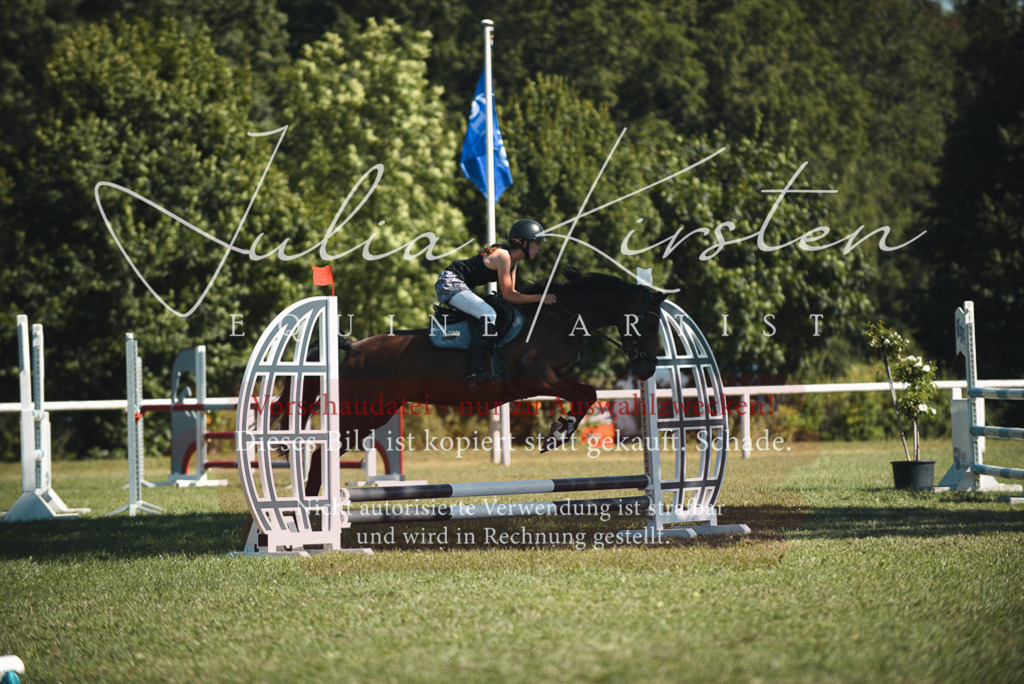 DSC_7459 | Pferde- und Turnierfotografie in Westsachsen. Pferdeportraits, Auftragszeichnungen und intuitive Kunst.