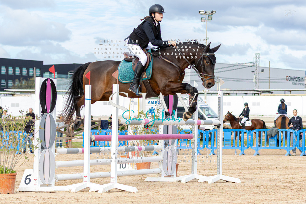 IMG_2656 | s-jay-photography - Realisiert mit Pictrs.com