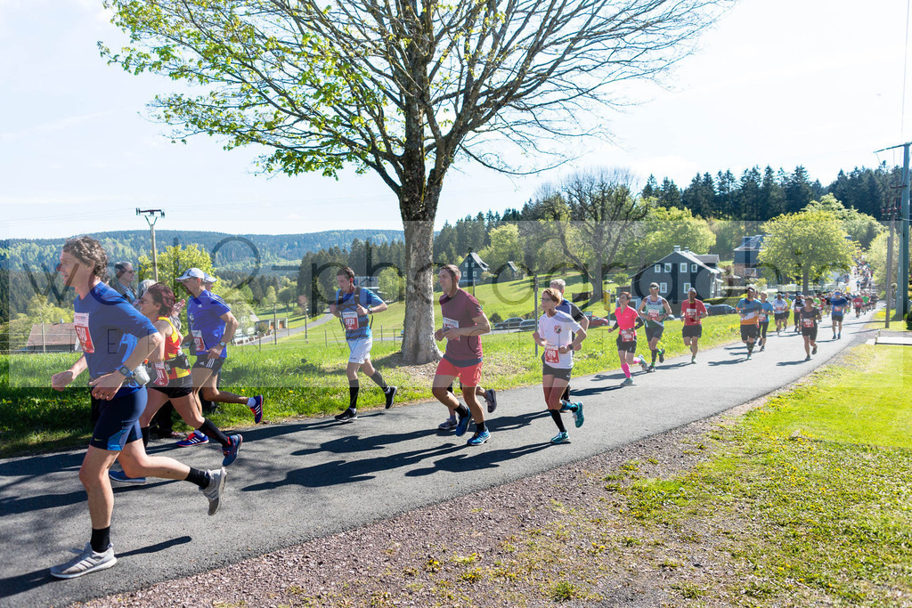 Rennsteiglauf 2019 | Marathon Neuhaus/Rwg. - Schmiedefeld am 18. Mai 2019