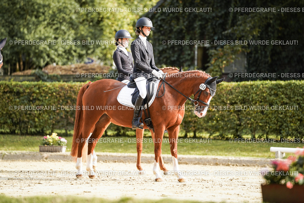 DSC05855 | Pferdegrafie