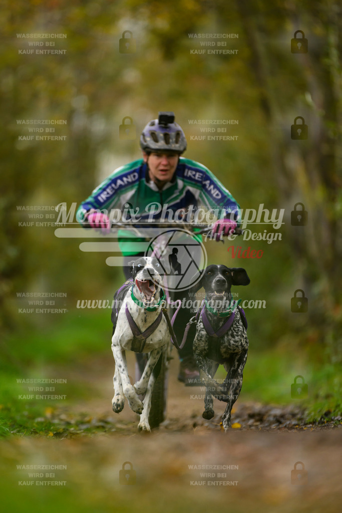 MompixPhotography_20TSB_E6_DS2-25 | PayLife