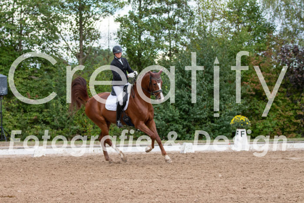 IMG_5059 | Creatify Fotografie