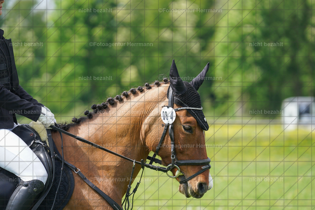 20240509-FAH02863 | Turnierbilder der Turnierfotografen Bayern, Pferdesport Fotografie, Reitsportbilder, Turnier Landberg am Lech, Turnierbilder bayern, Fotoagentur Herrmann
