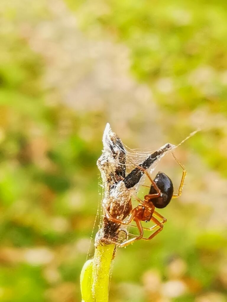 PSX_20221103_220533 | mtkfoto_ - Realisiert mit Pictrs.com