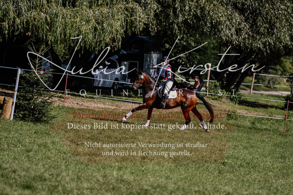 DSC_1547 | Pferde- und Turnierfotografie in Westsachsen. Pferdeportraits, Auftragszeichnungen und intuitive Kunst.