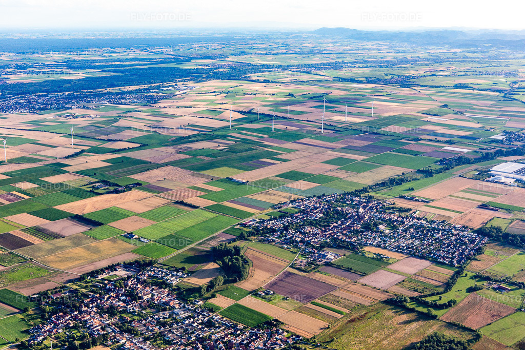 Luftbild: Windpark Offenbach in Ottersheim bei Landau im Bundesland Rheinland-Pfalz in Deutschland. Foto: IMG_142276.jpg vom 07.07.2024 durch Werner Riehm/FLY-FOTO.de
