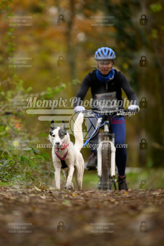 MompixPhotography_Bischwiller24_SA_VTT-71 | PayLife