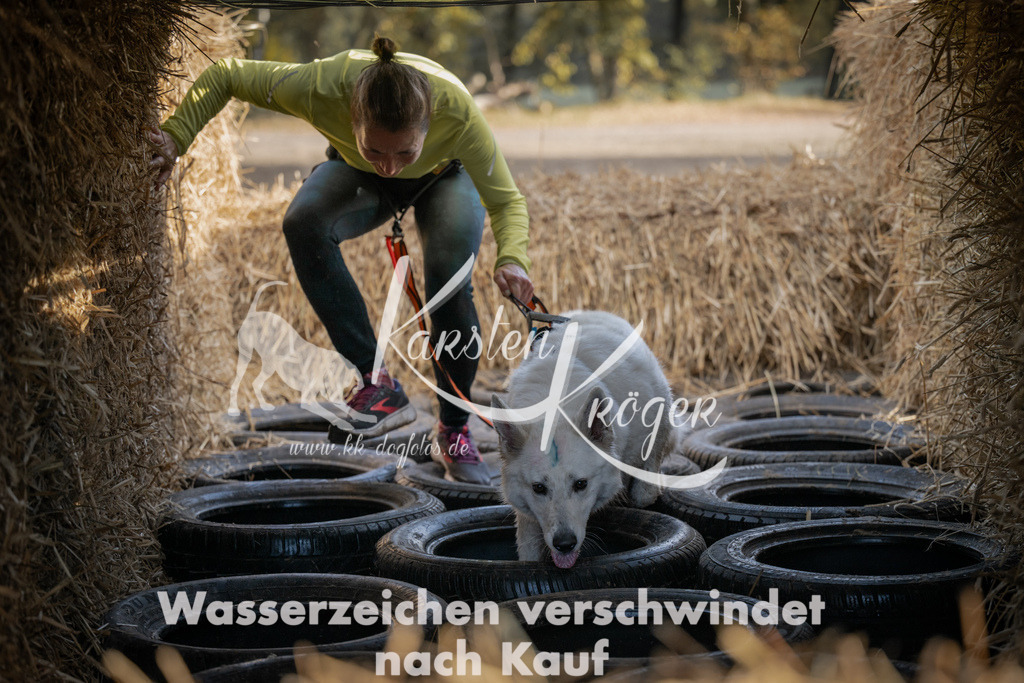1032_ZZ98695 | kk-dogfotos