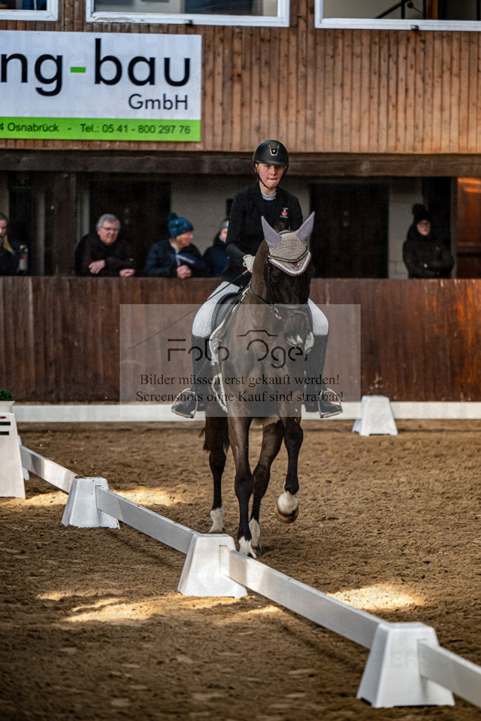 20240308-DOS_4464 | Entdecke hochwertige Reitturnierfotos von Foto Oger. Professionell, emotional und authentisch – jetzt Lieblingsmomente im Shop bestellen.Deutschlandweite Turnierfotografie. - Realisiert mit Pictrs.com