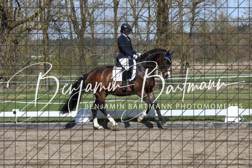 AZ2A4647 | Benjamin Bartmann Photomoments