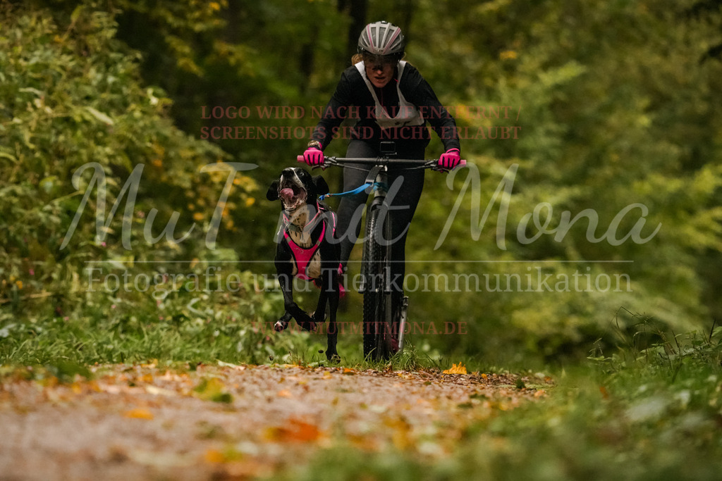 20251005_THS_Turnier-80 | MuT (Mensch und Tier) mit Mona - Fotografie und Tierkommunikation - Realisiert mit Pictrs.com