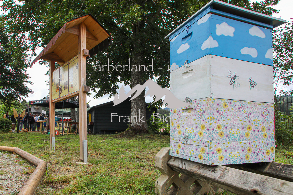 OE7A0812 | Medien- Sport- Entertainmentfotos