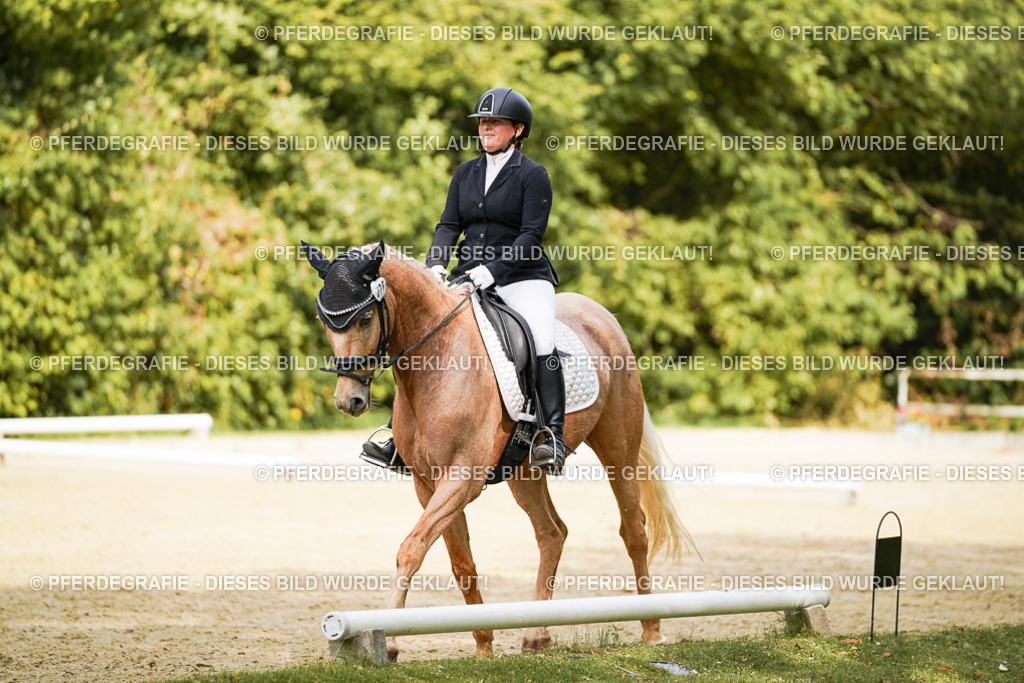 DSC02963 | Pferdegrafie