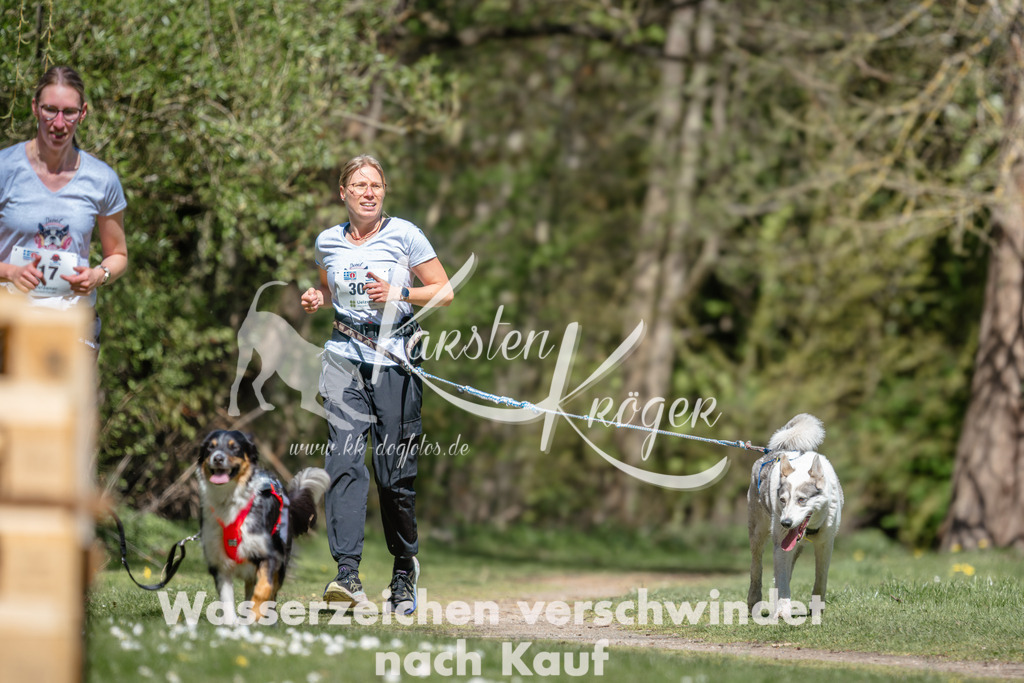 1223DZ6_4724 | kk-dogfotos