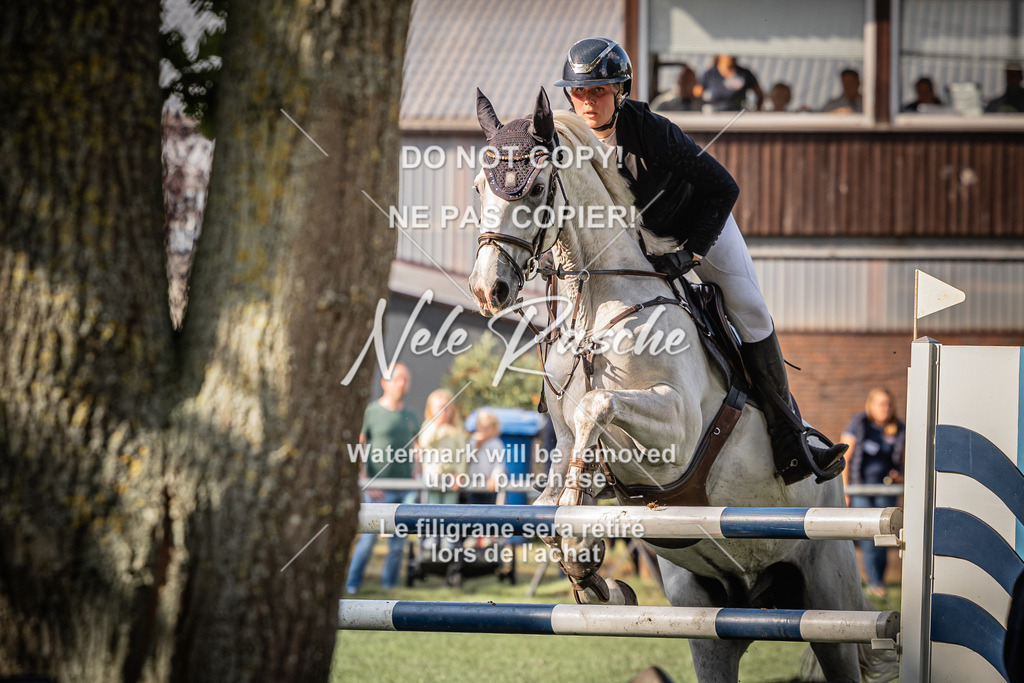 nelerasche_SprM_120Ede_80 | nelerasche