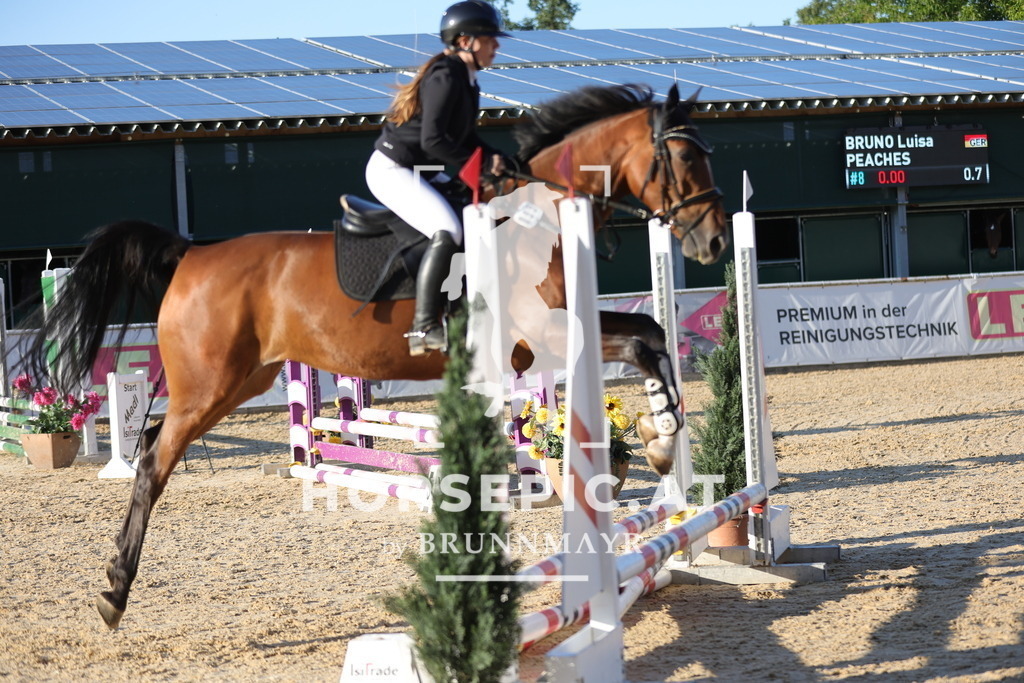 0P6A6603 | Willkommen bei Brunnmayr - Design & Fotografie – Ihrem Spezialisten für Reitturniere und Pferdeveranstaltungen in Oberösterreich, Salzburg und Bayern! Seit über 17 Jahren sind wir leidenschaftlich dabei.