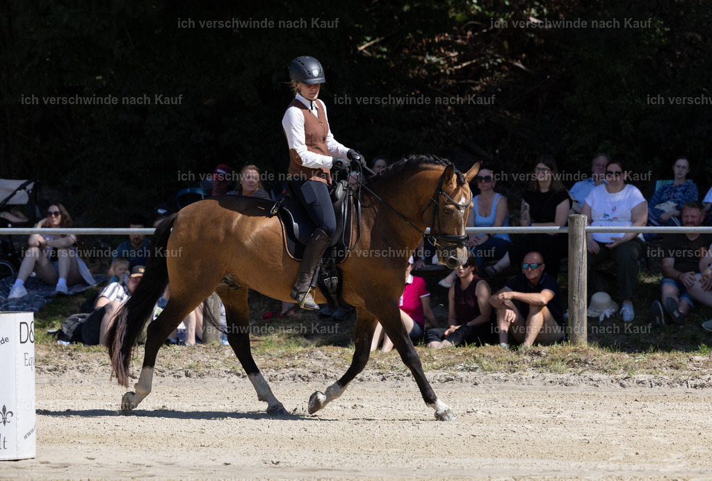 WE_Trail_23_KerstinBernhardt-17 | working equitationturnier fotograf videograf stoibphotography marixx film working equitation deutschland reitsport turnierfotografie eventfotografie equestrian events