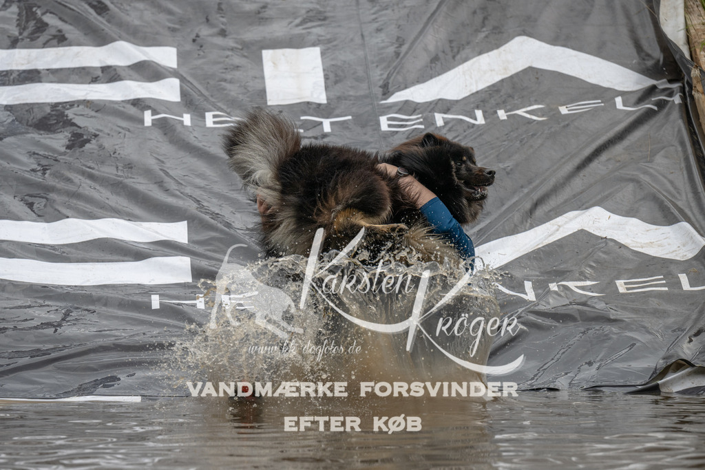 1551_ZZ91081 | kk-dogfotos