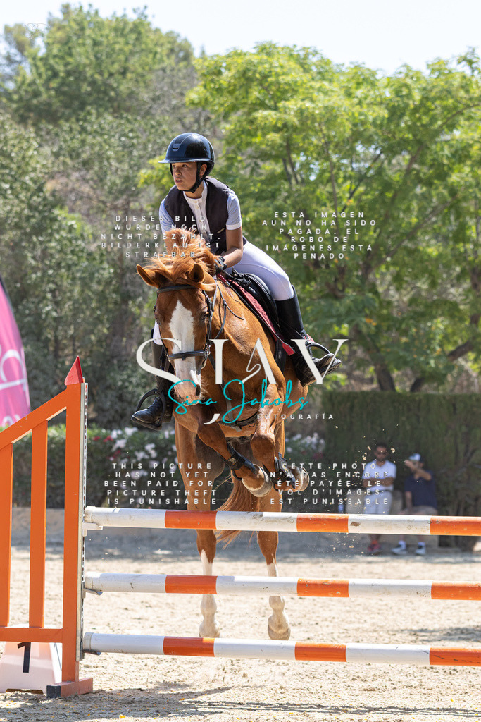 IMG_5976 | s-jay-photography - Realisiert mit Pictrs.com