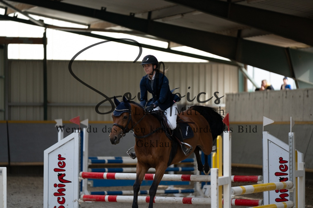 A7V08351 | Pferdefotograf