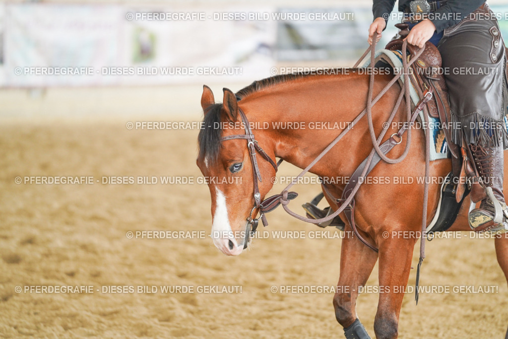 DSC06123 | Pferdegrafie