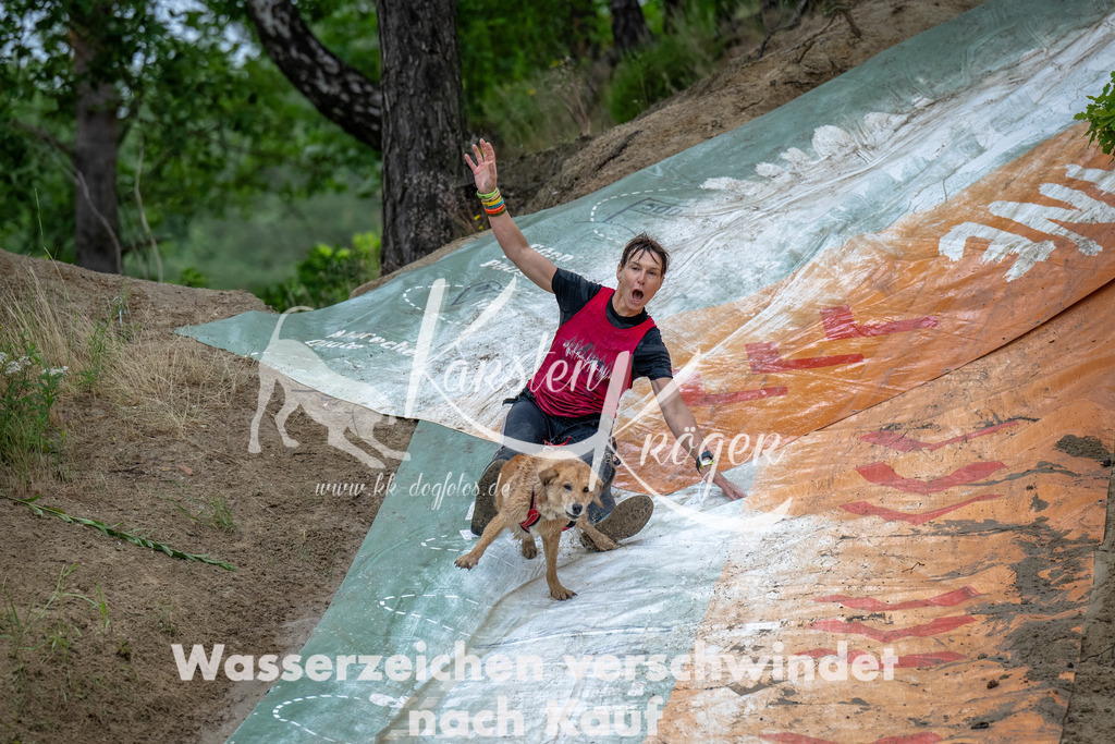 1253_ZZ90787-Bearbeitet | kk-dogfotos