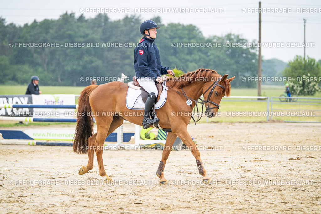 DSC00893 | Pferdegrafie