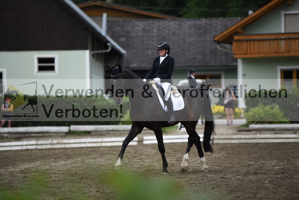 DSC_4686 | equestrian-live-com