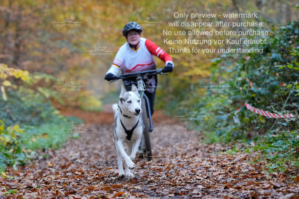 Scooter_So-91 | stephaniefillaphotographie - Realisiert mit Pictrs.com