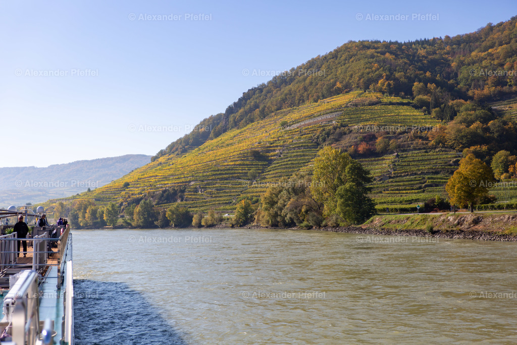 donau-wachau_c_alexander_pfeffel-20591 | alexander-pfeffel - Realisiert mit Pictrs.com