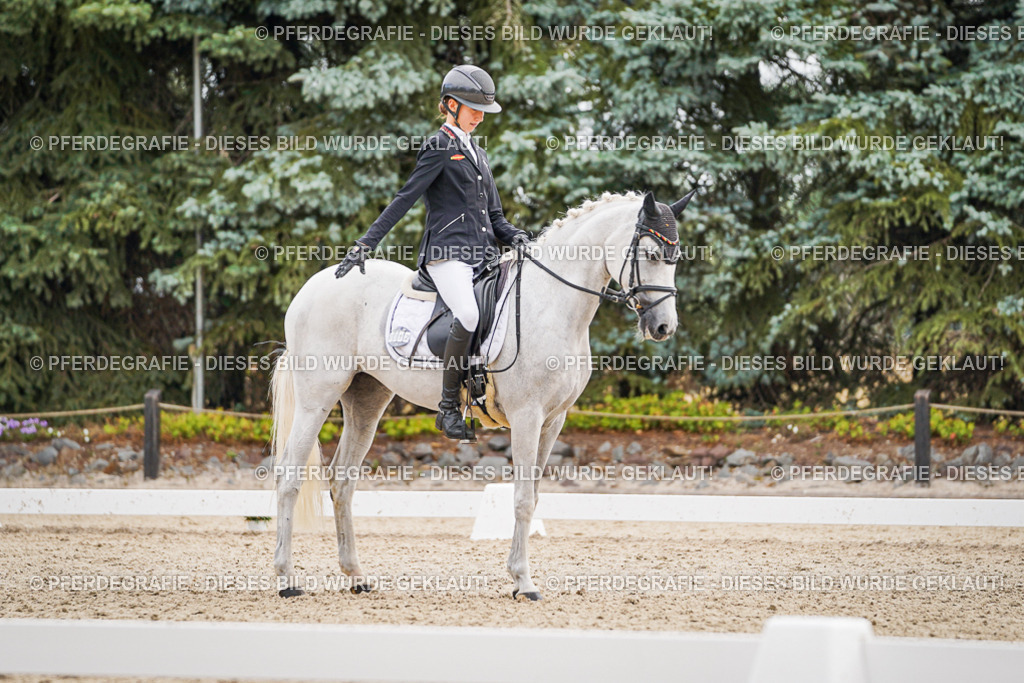 DSC02099 | Pferdegrafie