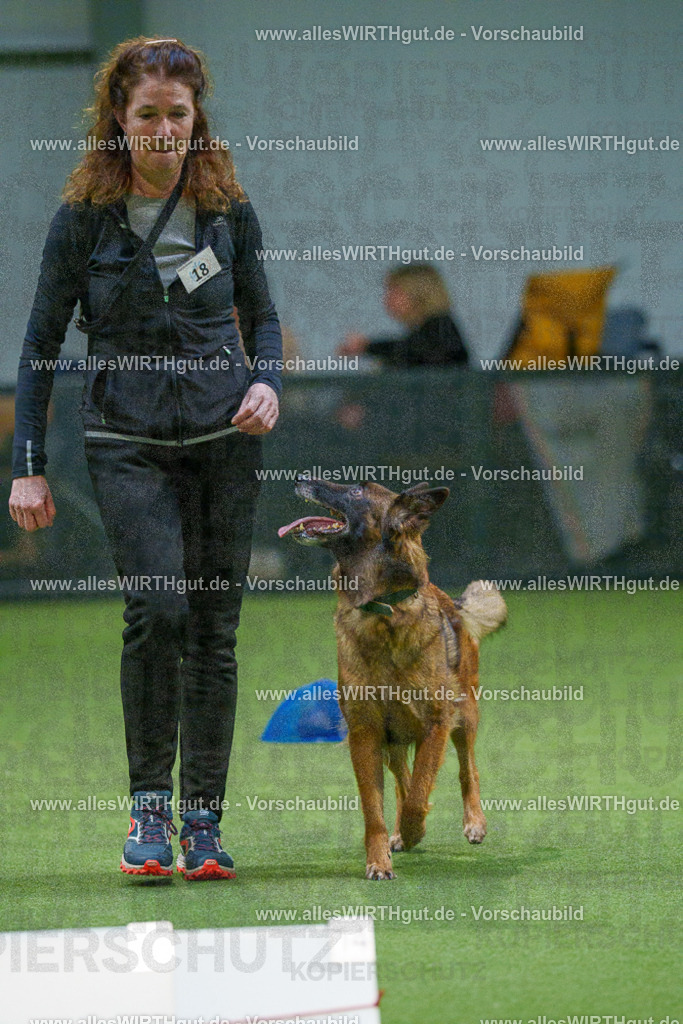 7R505648 | Professionelle Tierfotografie in Mönchengladbach von Daniel Wirth (allesWIRTHgut). Liebevolle & natürliche Bilder von Hunden & Katzen für unvergessliche Erinnerungen.