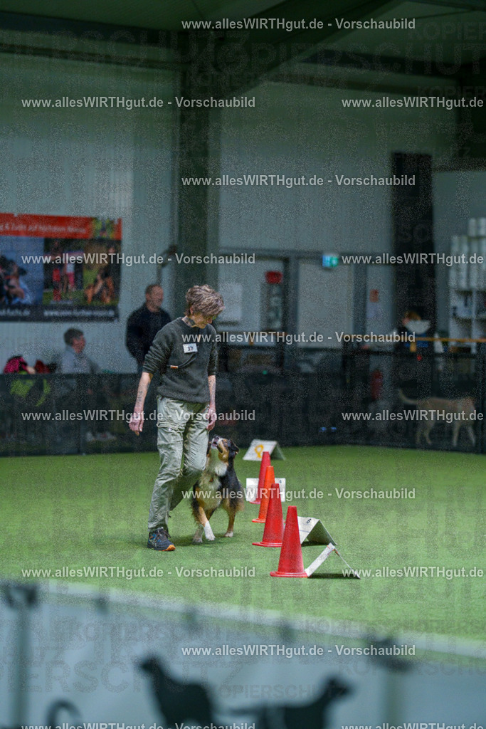 7R506072 | Professionelle Tierfotografie in Mönchengladbach von Daniel Wirth (allesWIRTHgut). Liebevolle & natürliche Bilder von Hunden & Katzen für unvergessliche Erinnerungen.