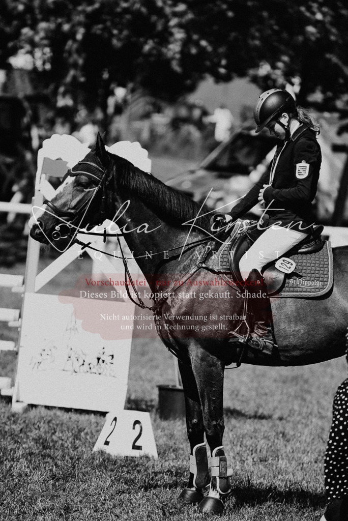 DSC_2612 | Pferde- und Turnierfotografie in Westsachsen. Pferdeportraits, Auftragszeichnungen und intuitive Kunst.