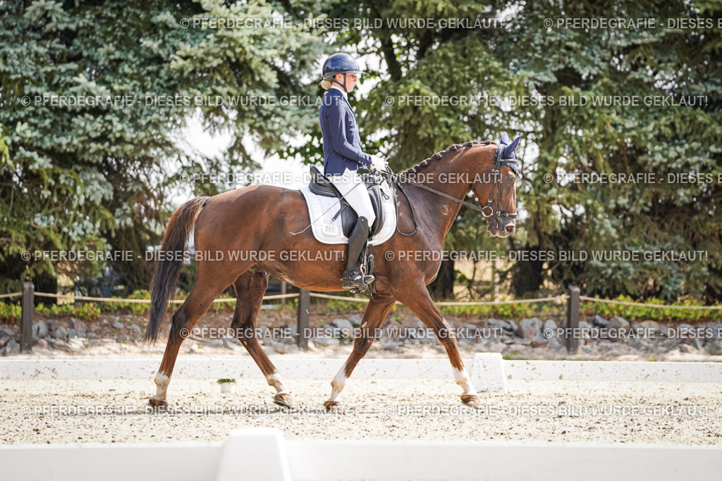 DSC09356 | Pferdegrafie