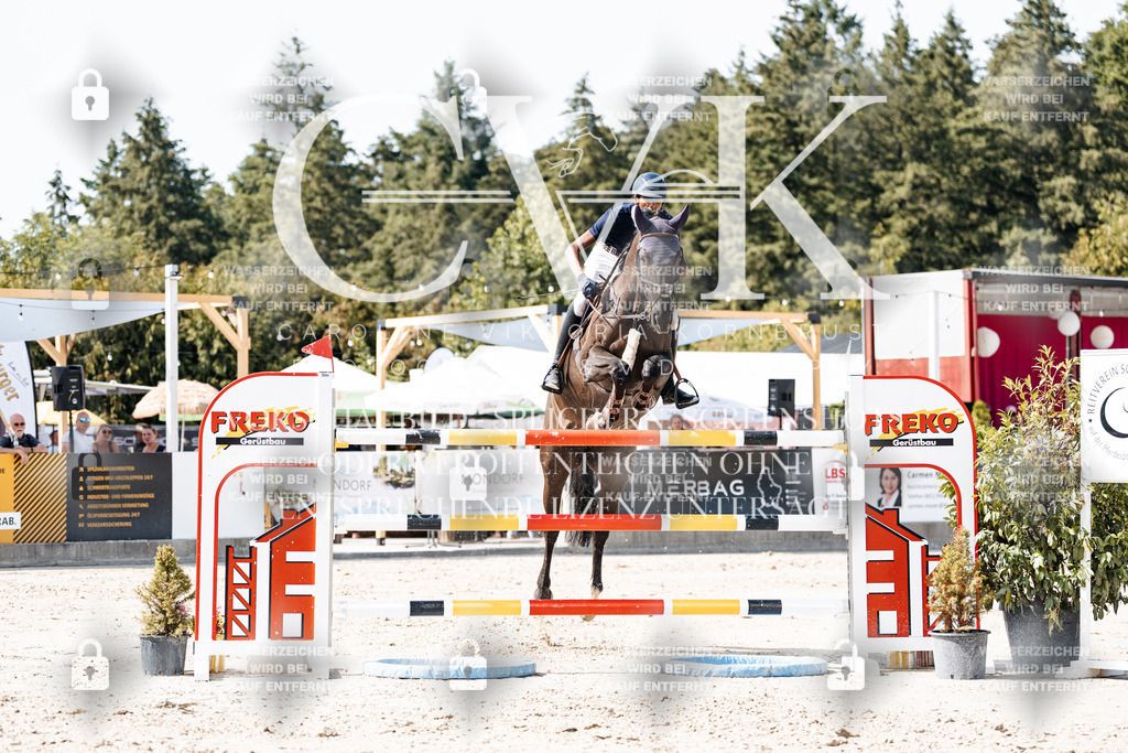 CK905381 | Turnierfotografie Pferdefotografie Trier Rheinland-Pfalz Pferdesport Reitsport Tierfotografie Sportfotografie Pferdevideo Pferdevideografie Equestrianvideography equestrianphotography  - Realisiert mit Pictrs.com