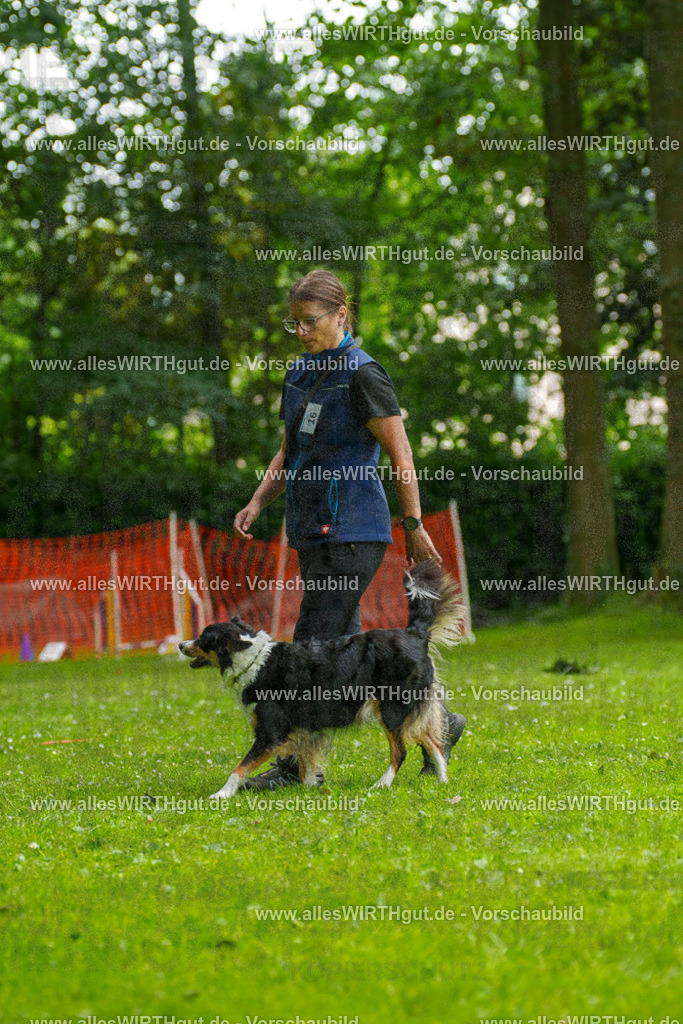 @allesWIRTHgut_Tierfotografie - www.allesWIRTHgut.de - 091734-7R506865 | Professionelle Tierfotografie in Mönchengladbach von Daniel Wirth (allesWIRTHgut). Liebevolle & natürliche Bilder von Hunden & Katzen für unvergessliche Erinnerungen.