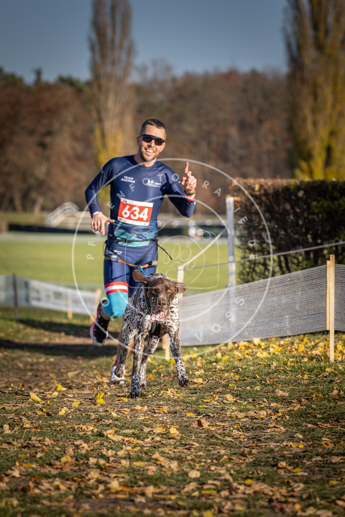 CaniXpix_DV3A0192 | Hundefotografie, Tierfotograf, Pfotenfotografie, Fotoshooting Hund, Hunde Portrait, Hundesport, Hundeportraits, Heideshooting, Hunde, Sportfotograf, Hundefotograf, Turnierhundsport, THS,  - Realisiert mit Pictrs.com