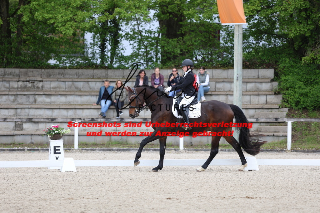 A40A4176 | lmwpictures - Realisiert mit Pictrs.com