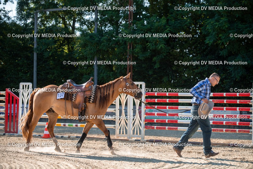 EWP_7052 | dv-media-shop - Realisiert mit Pictrs.com