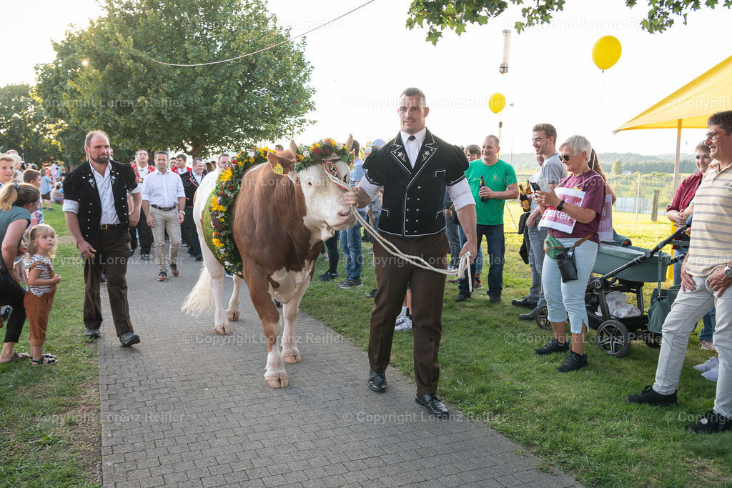 Schwingen -  Unspunnen Empfang 2023 | Wigoltingen, 2.9.23, Schwingen - Unspunnen Empfang.