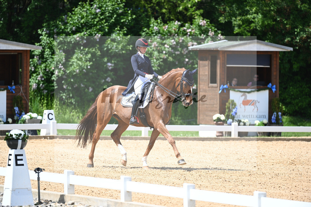 Baer_Superstar_12243704 | hf-fotografie - Realisiert mit Pictrs.com