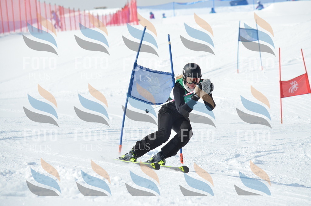 D9181 | holidayphoto