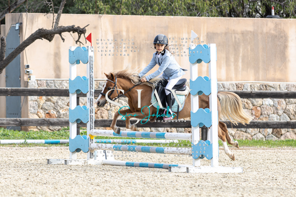 IMG_5274 | s-jay-photography - Realisiert mit Pictrs.com