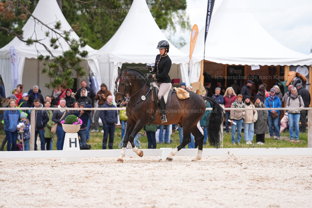 PI26_DR_261_StoibphotographySIN09213.jpg | working equitationturnier fotograf videograf stoibphotography marixx film working equitation deutschland reitsport turnierfotografie eventfotografie equestrian events