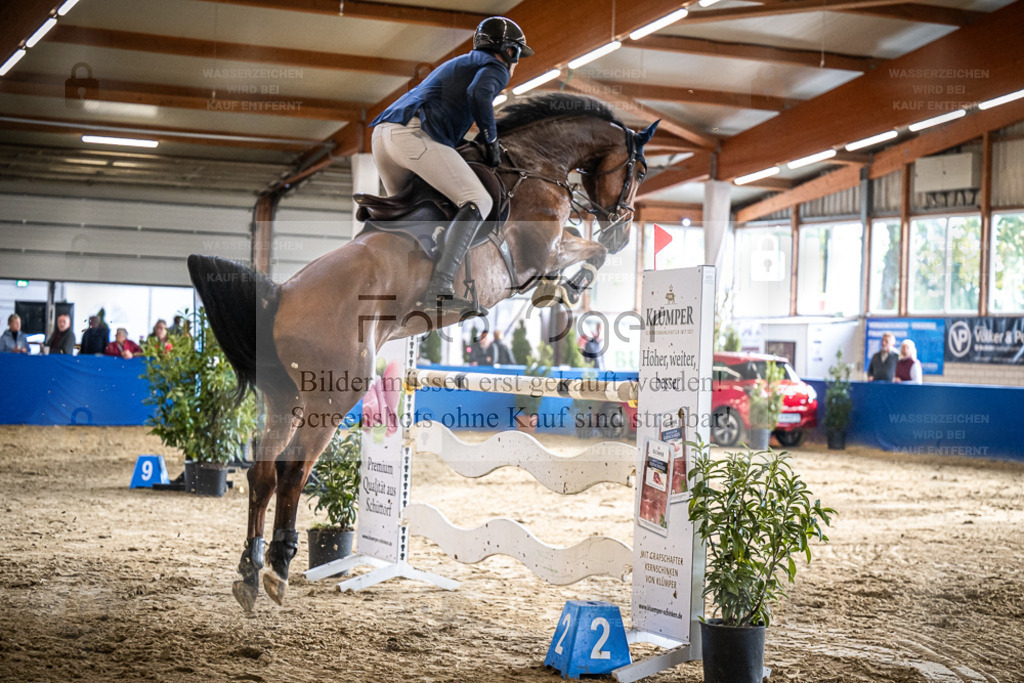 DOS_0948 | Entdecke hochwertige Reitturnierfotos von Foto Oger. Professionell, emotional und authentisch – jetzt Lieblingsmomente im Shop bestellen. - Realisiert mit Pictrs.com