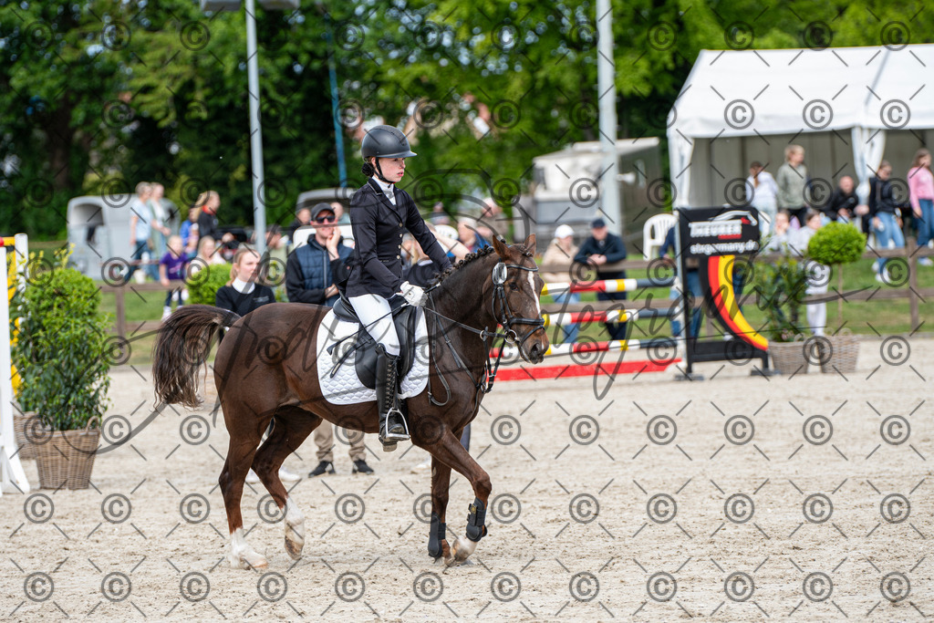 KPT_5992 | andre_photographic